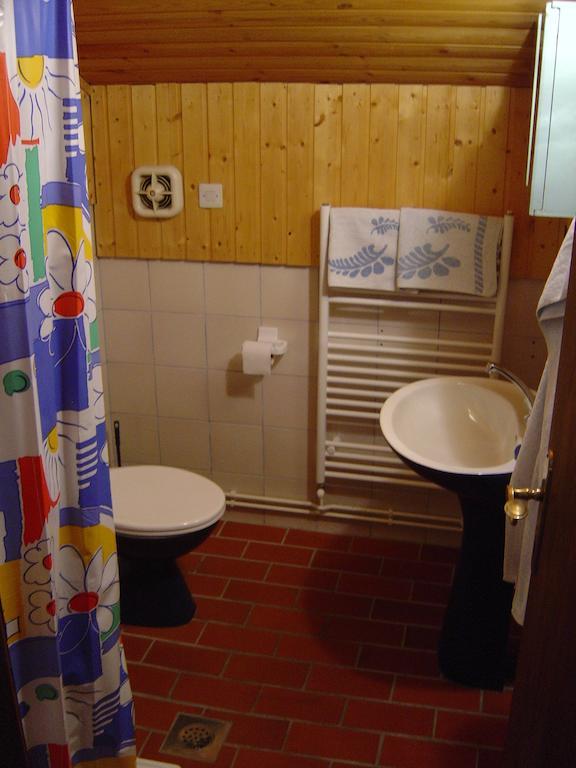 Apartments Balon 크라니스카고라 객실 사진